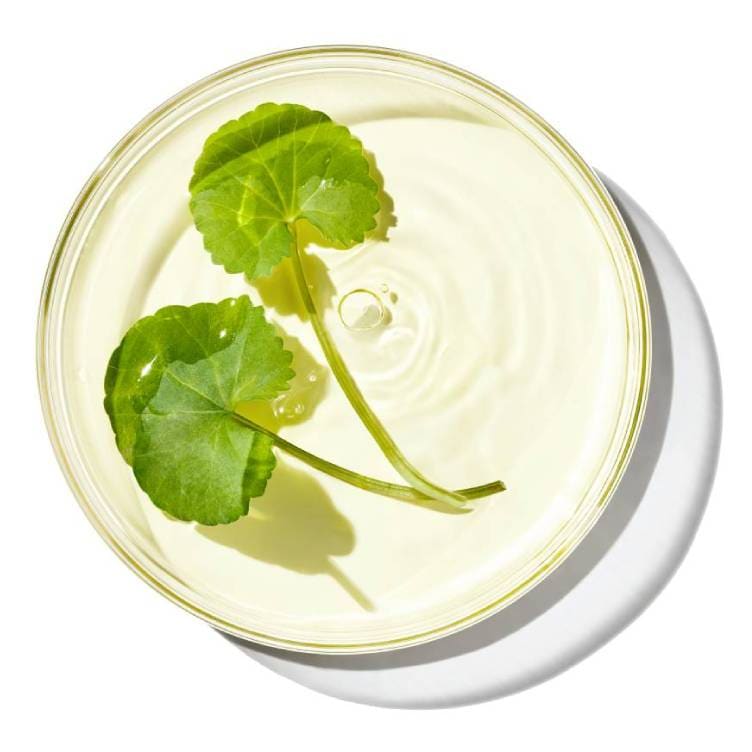 Aloe Bioferment + HA Complex