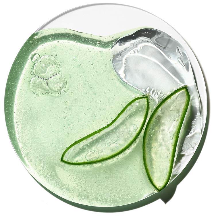 Le bio-ferment d'aloès et le complexe HA