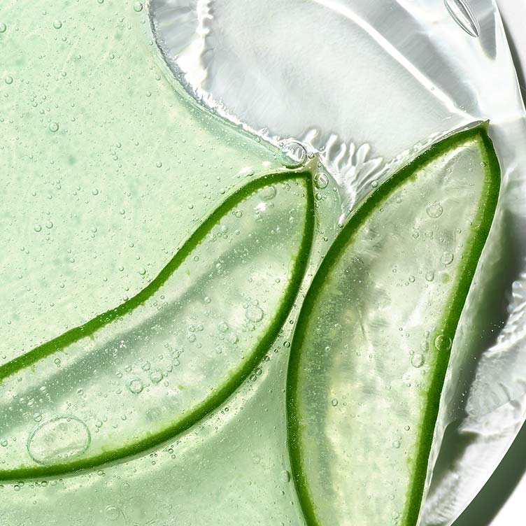 Le bio-ferment d'aloès et le complexe HA
