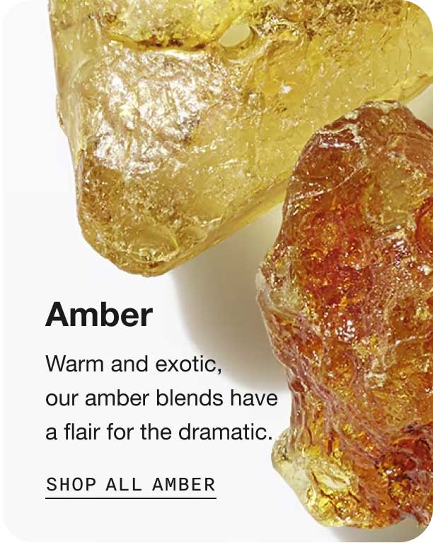 Amber. Warm and exotic, our amber blends have a flair for the dramatic. Shop All Amber