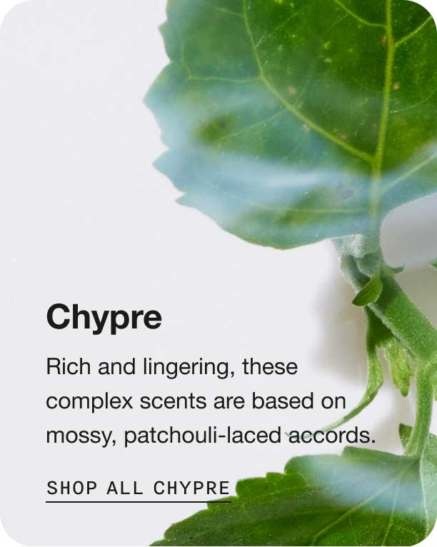 Chypre. Rich and lingering, these complex scents are based on mossy, patchouli-laced accords. Shop All Chypre