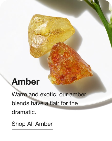 Amber. Warm and exotic, our amber blends have a flair for the dramatic. Shop All Amber