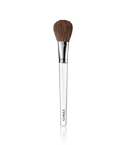 Blush Brush