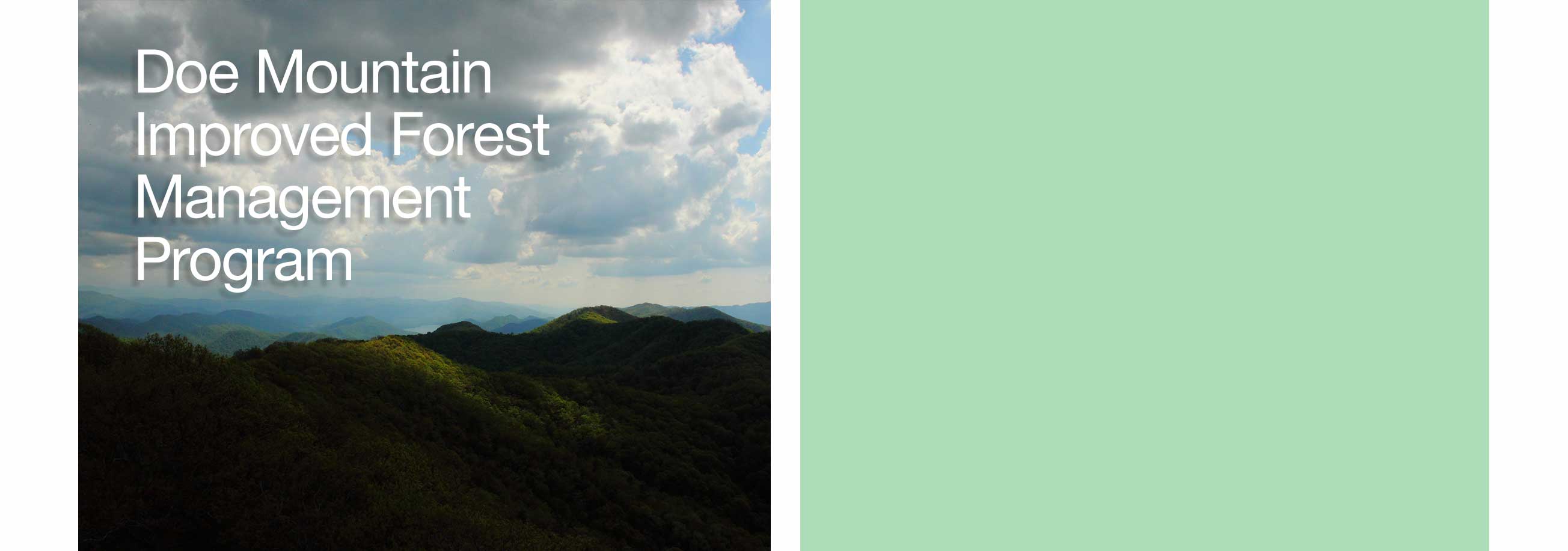 Willits Wood Improved Forest Management Program