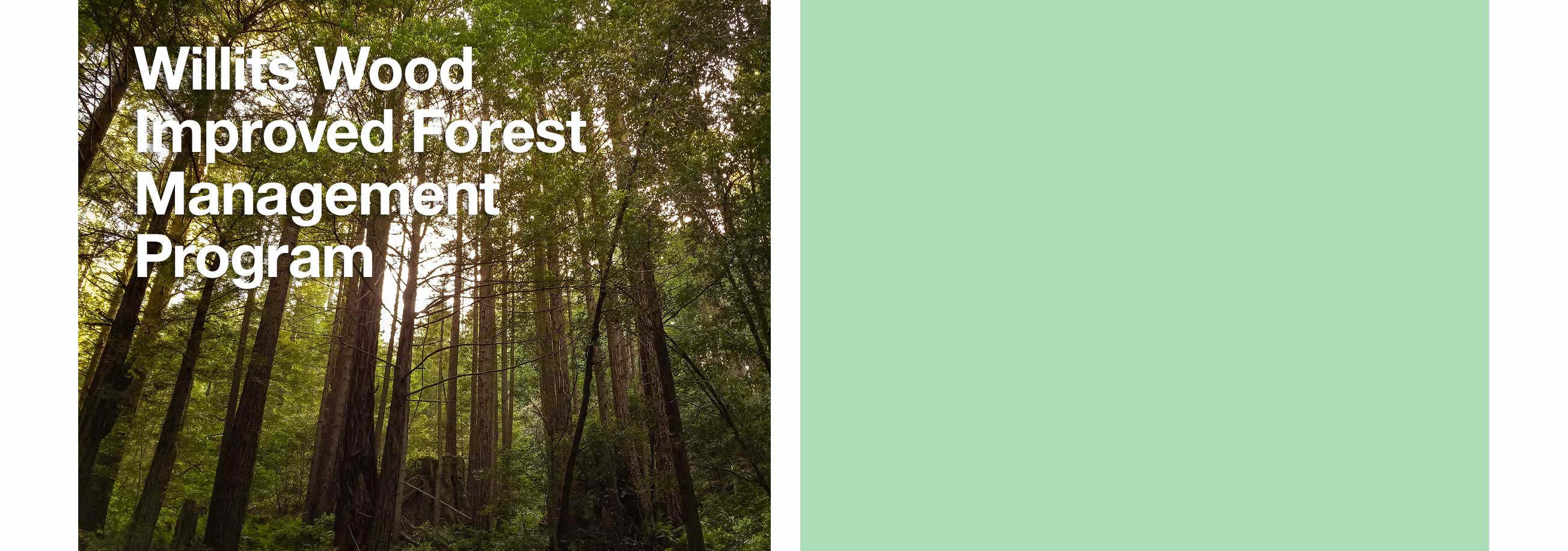 Willits Wood Improved Forest Management Program
